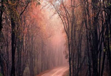 征途国际：古拉西奇：战胜多特非常重要，我完成两三次精彩扑救.