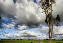 征途国际:追平最好成绩 郑钦文晋级WTA1000迈阿密站16强.