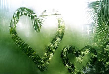 杨19分19助 里萨谢新高36分 字母哥31+9 老鹰大胜送雄鹿4连败.